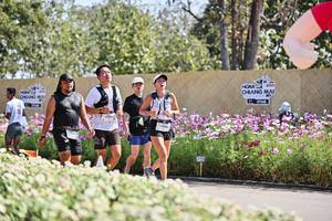 BIB: 
                            <button type="button" onclick="openModal(27796261)" class="btn btn-primary btn-sm float-right btn-popup" data-toggle="modal" data-target=".modal-high-quality">
                        <i class="fas fa-shopping-cart"></i> Add to Cart
                    </button>
                                            <button type="button" onclick="isThisMe(27796261, true)" class="btn btn-success btn-sm float-right btn-popup btn-isme hidden" data-toggle="tooltip" data-placement="bottom" title="นี่คือรูปของคุณใช่ไหม คลิกที่นี่เพื่อเอาเข้าอัลบั้ม">
                        <i class="fas fa-plus"></i> Add to album
                    </button>
                    <button type="button" onclick="isThisMe(27796261, false)" class="btn btn-warning btn-sm float-right btn-popup btn-isnotme hidden">
                        <i class="fas fa-ban"></i> Remove from album
                    </button>